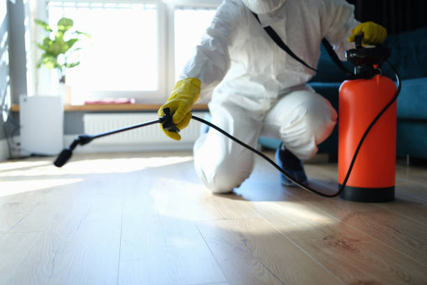 Reliable Infectious Disease Decontamination contractor in Bunkerville, NV by Trauma Clean Pros